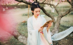 我是赘婿岳风免费阅读